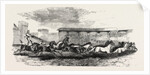 The Paris Hippodrome: Seventeen Horses Driven by M. Marin, France by Anonymous