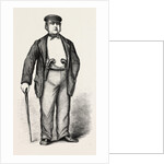 Mr. Edwin James, Q.C., in Garibaldi's Camp by Anonymous