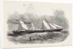 The Fairy Queen Paddle-Wheel Despatch-Boat for General Garibaldi by Anonymous