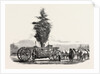 Removal of a Large, Tree from Chiswick to the New Gardens of the Horticultural Society at South Kensington, London by Anonymous