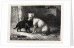 Landseer's Pet Dog Tiney and Pet Cat by Anonymous