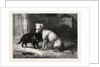Landseer's Pet Dog Tiney and Pet Cat by Anonymous