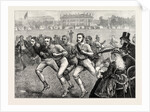 Dublin University Athletic Club Sports in College Park, Ireland by Anonymous
