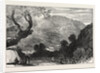 Sketches from Palestine: Mount Ebal and Shechem (Nablous) by Anonymous