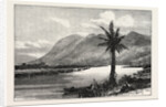 Mount Carmel and the Kishon by Anonymous