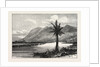 Mount Carmel and the Kishon by Anonymous
