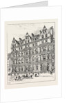 The Junior Constitutional Club by Anonymous