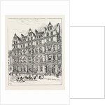 The Junior Constitutional Club by Anonymous