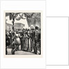 The Royal Marriage: Reception of the Duke and Duchess of Edinburgh and Princess Marie at Sigmaringen, Germany by Anonymous