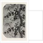 Pattern, Swiss Silk, Canton of Zurich, Switzerland by Anonymous