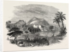The Euphrates Valley Route to India: Antioch, from the Valley of the Orontes by Anonymous