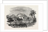 The Euphrates Valley Route to India: Antioch, from the Valley of the Orontes by Anonymous