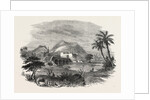 The Euphrates Valley Route to India: Antioch, from the Valley of the Orontes by Anonymous