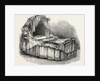 Messrs. Capper And Son, Bassinette by Anonymous