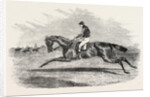 S.A. Nichol's Newminster, Winner of the Great St. Leger Stakes, at Doncaster, 1851 by Anonymous