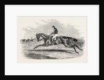 S.A. Nichol's Newminster, Winner of the Great St. Leger Stakes, at Doncaster, 1851 by Anonymous