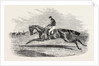 S.A. Nichol's Newminster, Winner of the Great St. Leger Stakes, at Doncaster, 1851 by Anonymous