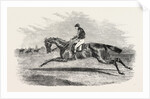 S.A. Nichol's Newminster, Winner of the Great St. Leger Stakes, at Doncaster, 1851 by Anonymous