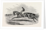 S.A. Nichol's Newminster, Winner of the Great St. Leger Stakes, at Doncaster, 1851 by Anonymous