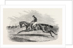 S.A. Nichol's Newminster, Winner of the Great St. Leger Stakes, at Doncaster, 1851 by Anonymous