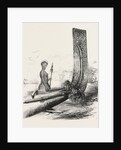 Maori Chief, and Carved Stern of a New Zealand Canoe by Anonymous