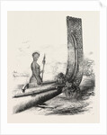 Maori Chief, and Carved Stern of a New Zealand Canoe by Anonymous