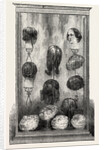 Wigs, by Browne, Fenchurch Street, London by Anonymous