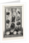 Wigs, by Browne, Fenchurch Street, London by Anonymous