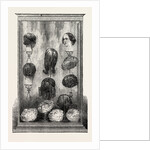 Wigs, by Browne, Fenchurch Street, London by Anonymous