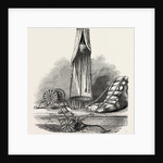 India-Rubber Bath by Anonymous