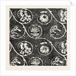 Silk Pattern by Anonymous