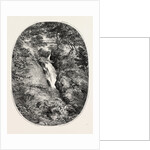 Aira Force, Lake District by Anonymous