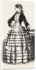 Paris Fashions for November, 1851 by Anonymous