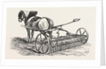 Howard's Horse Rake by Anonymous