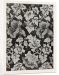 Damask Pattern, Oadley and Co., Halifax by Anonymous
