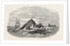 Destruction of the Larboard Boat of the Ann Alexander, by a Sperm Whale, in the South Pacific by Anonymous