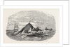 Destruction of the Larboard Boat of the Ann Alexander, by a Sperm Whale, in the South Pacific by Anonymous