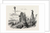 Ascent of M. Poitevin's Balloon from Nantes, France by Anonymous