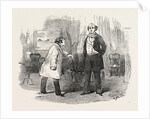 Scene from the New Comedy of Tender Precautions, at the Princess' Theatre, London by Anonymous