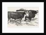 Smithfield Club Prize Cattle: Prince Albert's Hereford Ox and Mr. William Heath's Hereford Ox by Anonymous