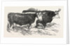 Smithfield Club Prize Cattle: Prince Albert's Hereford Ox and Mr. William Heath's Hereford Ox by Anonymous
