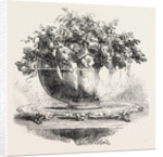 Testimonial Presented to Mr. Roney by Anonymous