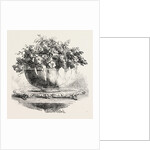 Testimonial Presented to Mr. Roney by Anonymous