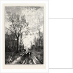 Sheep on the Homeward Way by Anonymous