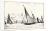 The First Race of the Royal Thames Yacht Club: The Iverna, Meteor and Maid Marian Running Home by Anonymous