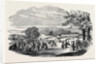 Fete in Bradley Woods, Devon by Anonymous