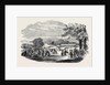 Fete in Bradley Woods, Devon by Anonymous