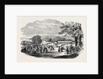Fete in Bradley Woods, Devon by Anonymous