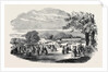 Fete in Bradley Woods, Devon by Anonymous