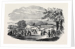Fete in Bradley Woods, Devon by Anonymous